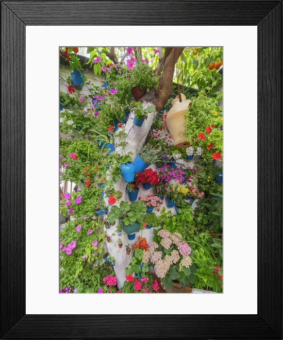 Framed Print : Centro District, Cordoba, Cordoba Province, Andalusia, Spain. May 2, 2023. Courtyard garden of a home in Cordoba. Editorial Use Only Framed Print : Centro District, Cordoba, Cordoba Province, Andalusia, Spain. May 2, 2023. Courtyard garden of a home in Cordoba. Editorial Use Only