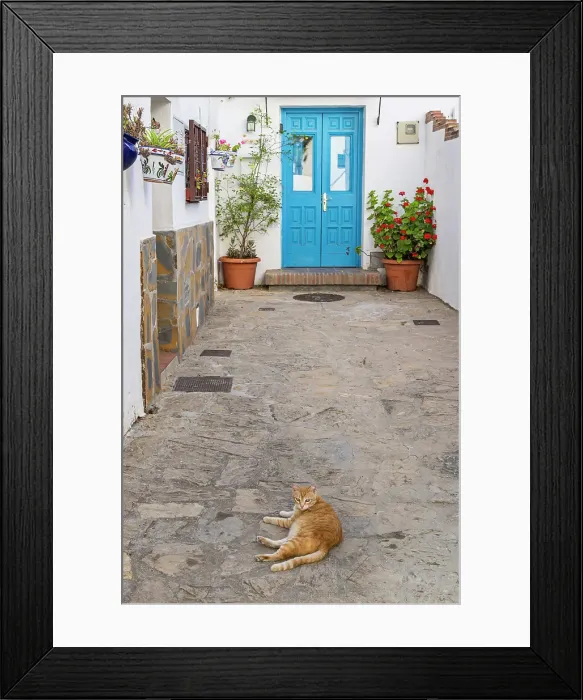 Framed Print : Casares, Malaga, Andalusia, Spain. A tabby cat resting in an alley of a Spanish village