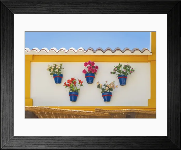 Framed Print : Jerez de la Frontera, Cadiz, Andalusia, Spain. Potted flowers hanging from a Spanish building Framed Print : Jerez de la Frontera, Cadiz, Andalusia, Spain. Potted flowers hanging from a Spanish building