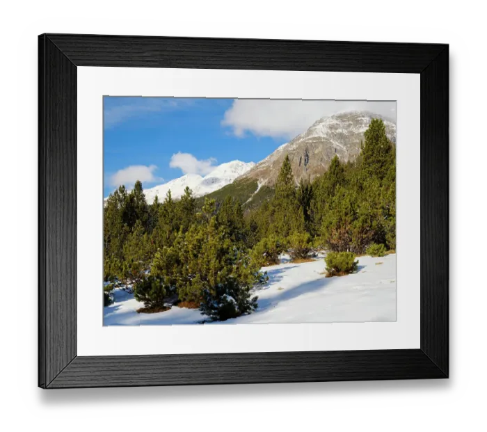 Framed Print : Alpe Champlonch with dwarf mountain pine. Valley Val dal Spol. Landscape in the Swiss National Park, Switzerland, Grisons, Lower Engadin Framed Print : Alpe Champlonch with dwarf mountain pine. Valley Val dal Spol. Landscape in the Swiss National Park, Switzerland, Grisons, Lower Engadin