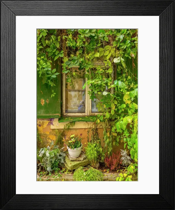 Framed Print : Eastern Europe, Baltic States, Estonia, Tallinn. Old town, city windows. Vine covered entrance to building Framed Print : Eastern Europe, Baltic States, Estonia, Tallinn. Old town, city windows. Vine covered entrance to building