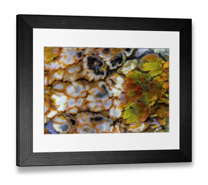 Framed Print : Plum agate Framed Print : Plum agate