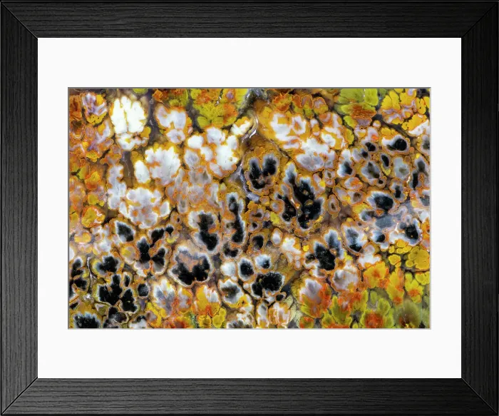 Framed Print : Plum agate Framed Print : Plum agate