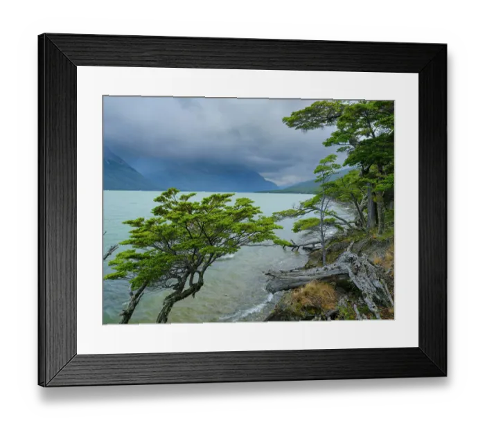Framed Print : Lago Acigami with lenga beech trees. Landscape in the National Park Tierra del Fuego. South America, Argentina, Patagonia, Tierra del Fuego