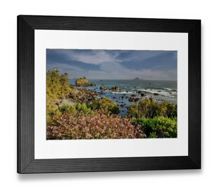 Framed Print : USA, California, Crescent City. Seastack along coastline