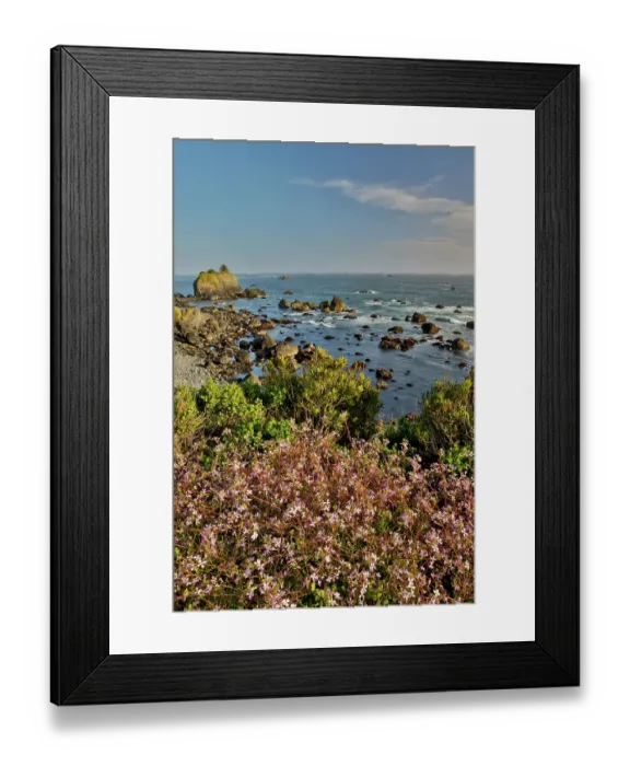 Framed Print : USA, California, Crescent City. Seastack along coastline Framed Print : USA, California, Crescent City. Seastack along coastline