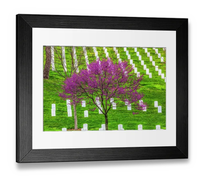 Framed Print : Arlington National Cemetery, Washington DC. Arlington was established during Civil War on Robert E. Lee's house. (Editorial Use Only) Framed Print : Arlington National Cemetery, Washington DC. Arlington was established during Civil War on Robert E. Lee's house. (Editorial Use Only)
