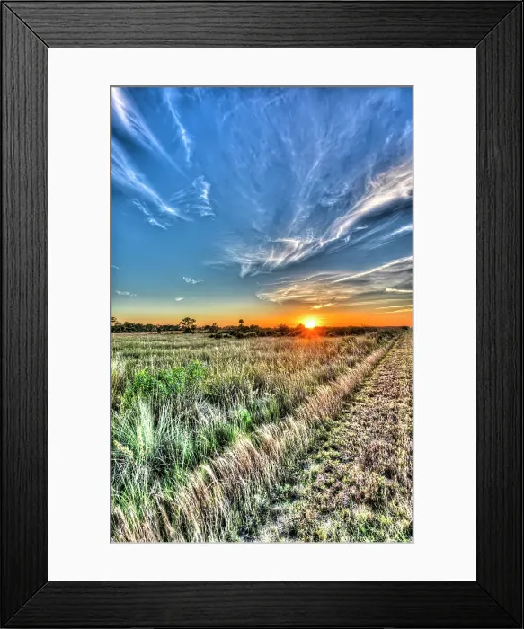 Framed Print : Sun setting over the Big Cypress National Preserve casts a warm glow over the prairie landscape