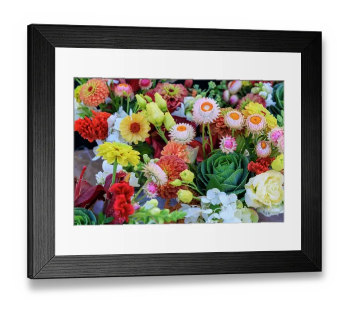Framed Print : USA, Indiana, Fishers. Fresh flowers on display at market Framed Print : USA, Indiana, Fishers. Fresh flowers on display at market