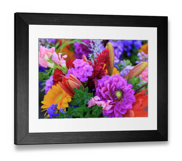 Framed Print : USA, Indiana, Fishers. Fresh flowers on display at market Framed Print : USA, Indiana, Fishers. Fresh flowers on display at market