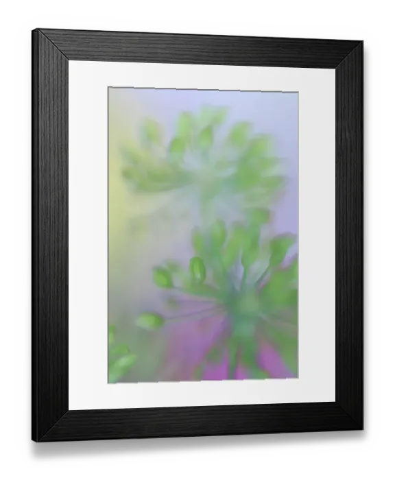 Framed Print : USA, Indiana, Fishers. Abstract close-up of green flower buds Framed Print : USA, Indiana, Fishers. Abstract close-up of green flower buds