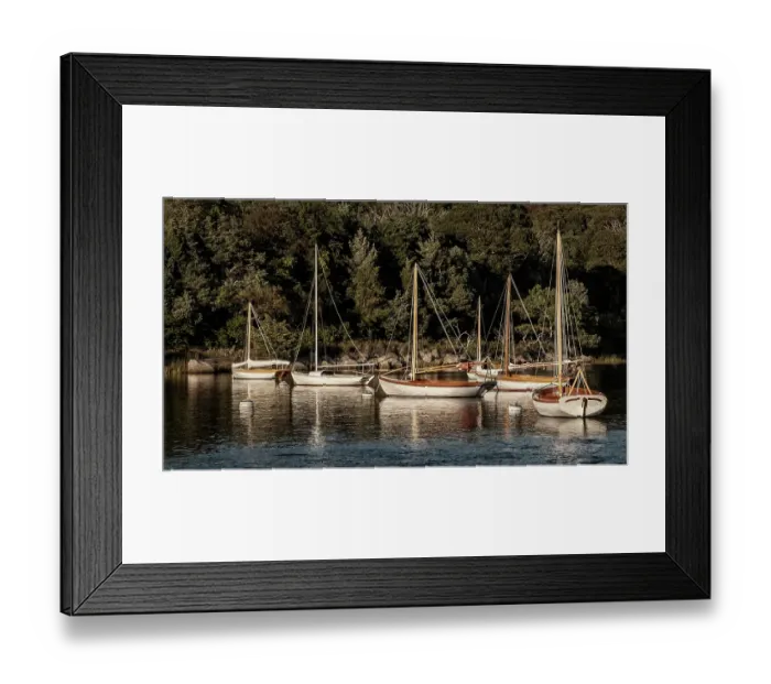 Framed Print : USA, Massachusetts, Cape Cod, Falmouth. Vintage sailboats moored in Quissett Harbor Framed Print : USA, Massachusetts, Cape Cod, Falmouth. Vintage sailboats moored in Quissett Harbor