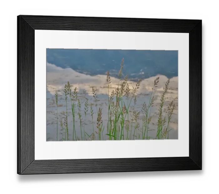 Framed Print : USA, Montana, Allentown. Grass along the edge of a small pond Framed Print : USA, Montana, Allentown. Grass along the edge of a small pond