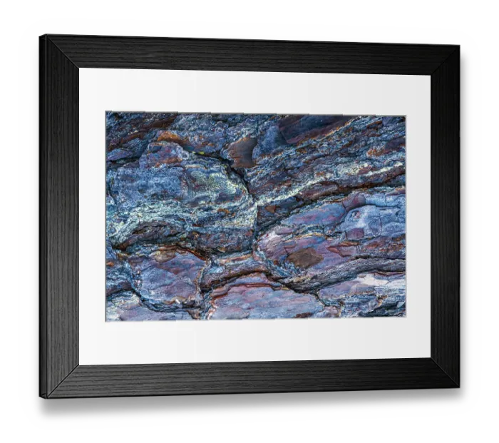 Framed Print : USA, New Jersey, Pine Barrens National Preserve. Close-up of tree bark Framed Print : USA, New Jersey, Pine Barrens National Preserve. Close-up of tree bark
