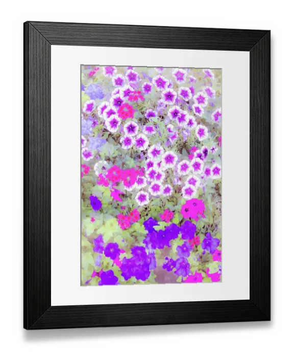 Framed Print : USA, Oregon, Camby, Swan Island dahlias with picture of colorful Petunias Framed Print : USA, Oregon, Camby, Swan Island dahlias with picture of colorful Petunias
