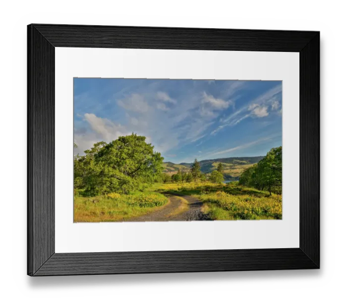 Framed Print : USA, Oregon, Mosier. Gravel road amongst Landscape of balsamroot and oaks on hillside above the Columbia River