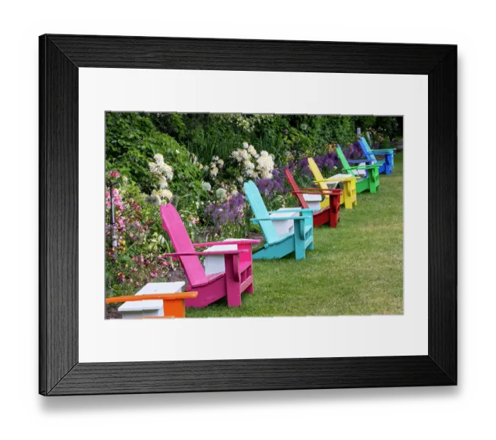 Framed Print : USA, Oregon. Garden in full bloom with row of colorful chairs amongst bearded iris and Russell lupine