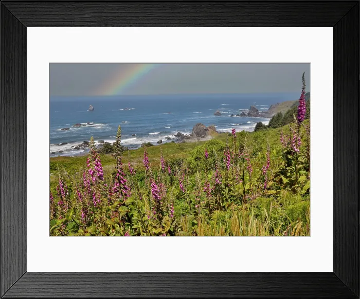 Framed Print : USA, Oregon. Pacific coastline Samuel H. Boardman State Scenic Corridor rainbow landscape with Foxglove in foreground Framed Print : USA, Oregon. Pacific coastline Samuel H. Boardman State Scenic Corridor rainbow landscape with Foxglove in foreground