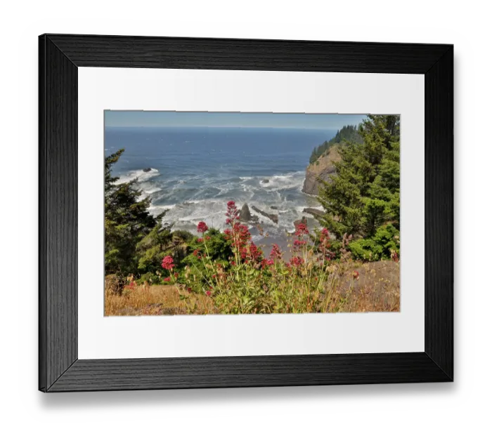 Framed Print : USA, Oregon. Pacific coastline Samuel H. Boardman State Scenic Corridor landscape with wildflowers in foreground