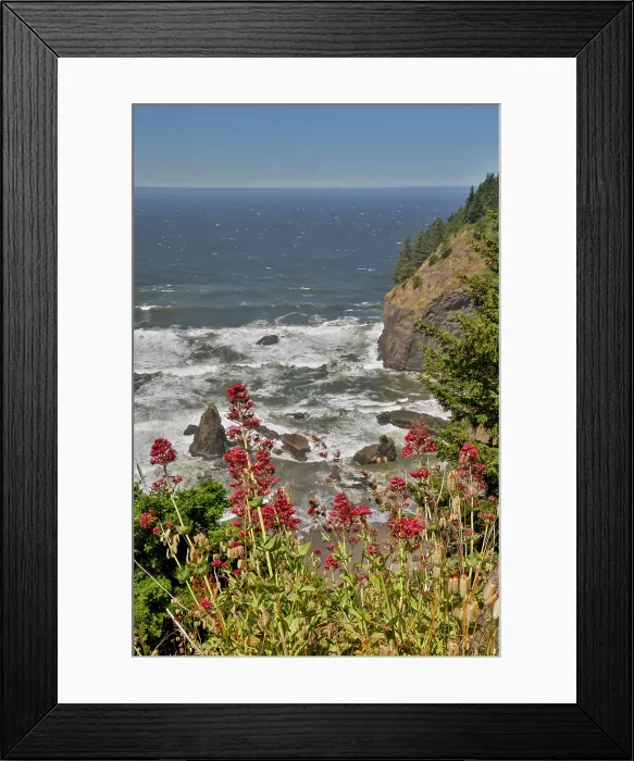 Framed Print : USA, Oregon. Pacific coastline Samuel H. Boardman State Scenic Corridor landscape with wildflowers in foreground