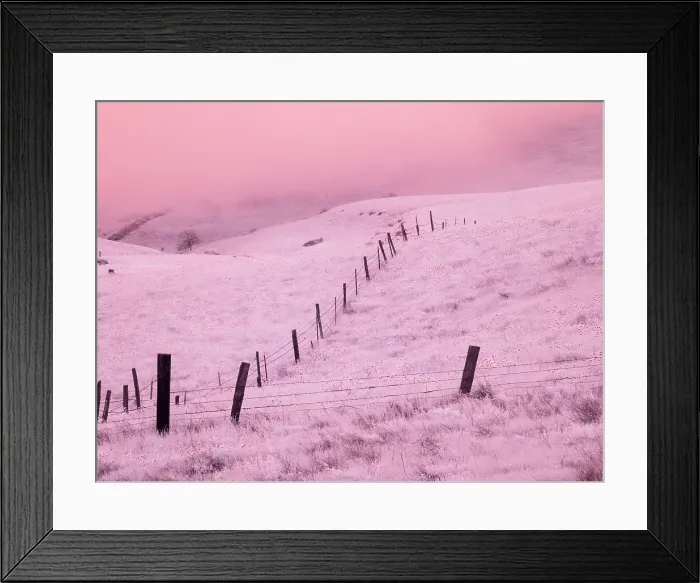 Framed Print : USA, Oregon. Columbia George, infrared of fence line leading through the wildflowers Framed Print : USA, Oregon. Columbia George, infrared of fence line leading through the wildflowers