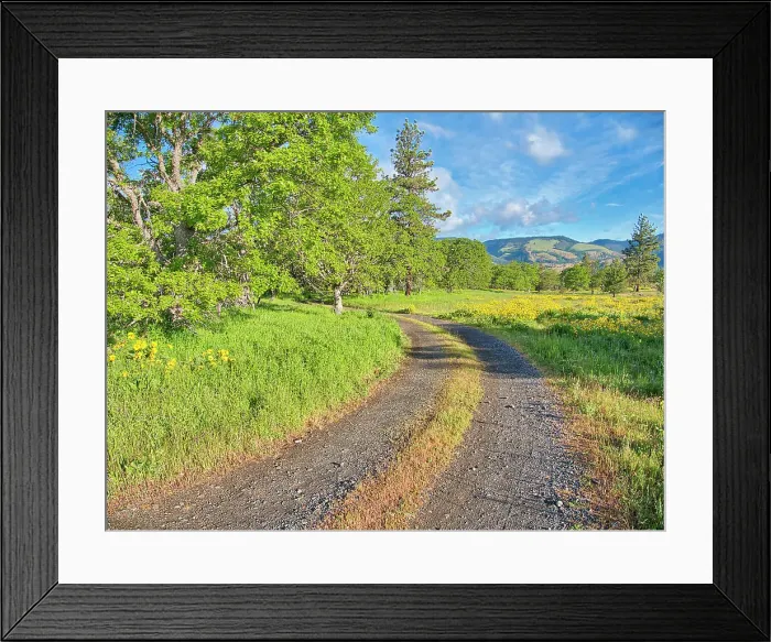 Framed Print : USA, Oregon. Columbia George, country backroad through wildflowers Framed Print : USA, Oregon. Columbia George, country backroad through wildflowers