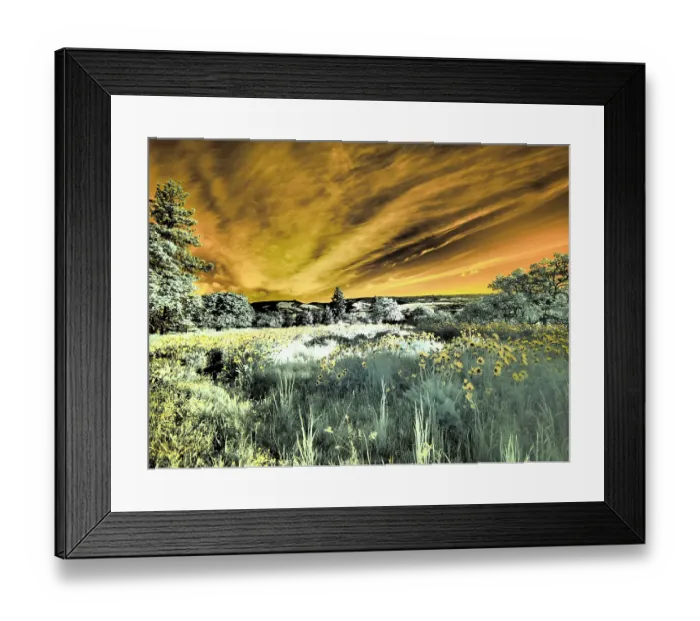 Framed Print : USA, Oregon. Columbia George, infrared of wildflowers and tree