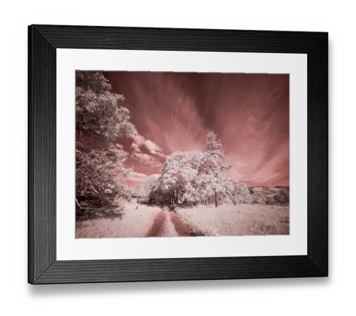 Framed Print : USA, Oregon. Columbia George, infrared of country road through wildflowers and trees Framed Print : USA, Oregon. Columbia George, infrared of country road through wildflowers and trees