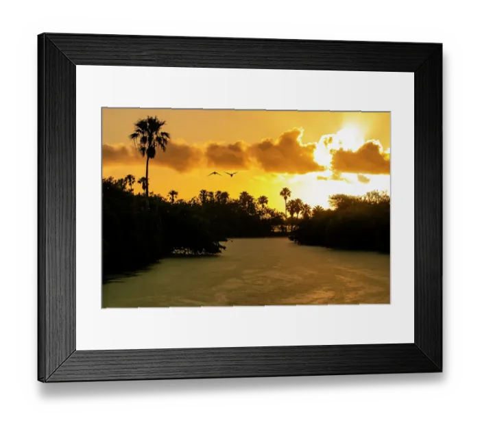 Framed Print : USA, Texas, Cameron County. Sunrise, oxbow of Rio Grande, black-bellied whistling ducks and palm trees Framed Print : USA, Texas, Cameron County. Sunrise, oxbow of Rio Grande, black-bellied whistling ducks and palm trees