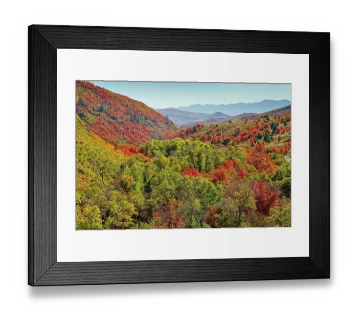Framed Print : USA, Utah. Foothills east of Ogden in fall colors with Aspen and maple