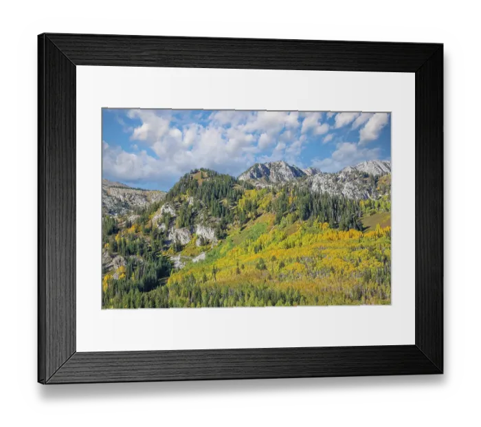 Framed Print : USA, Utah. Aspen and maple in fall color on Wasatch Mountains hillsides along South Big Cottonwood Canyon Road Framed Print : USA, Utah. Aspen and maple in fall color on Wasatch Mountains hillsides along South Big Cottonwood Canyon Road