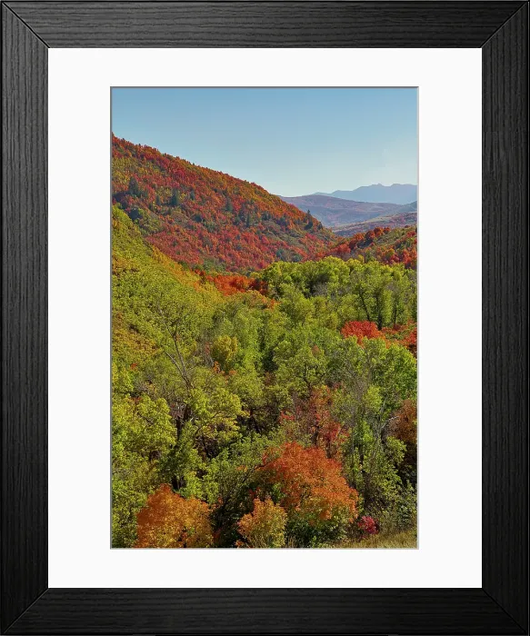 Framed Print : USA, Utah. Foothills east of Ogden in fall colors with Aspen and maple