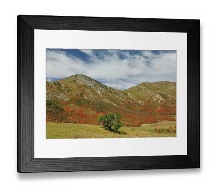 Framed Print : USA, Utah. East of Brigham City near Wellsville with mountain range covered in canyon maple in reds of fall color Framed Print : USA, Utah. East of Brigham City near Wellsville with mountain range covered in canyon maple in reds of fall color