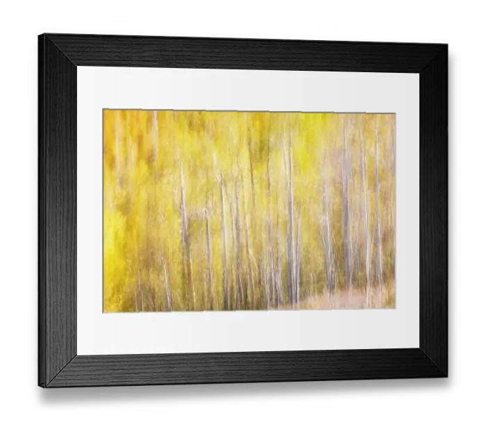 Framed Print : USA, Utah. Wasatch Mountains blur of Aspen in fall color along Highway 39 Framed Print : USA, Utah. Wasatch Mountains blur of Aspen in fall color along Highway 39