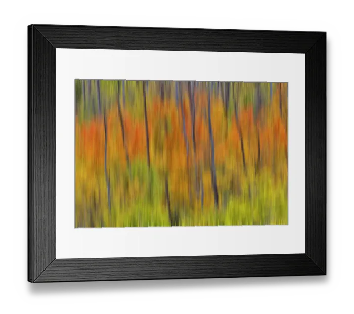 Framed Print : USA, Utah. Wasatch Mountains blur of Aspen in fall color along Highway 39