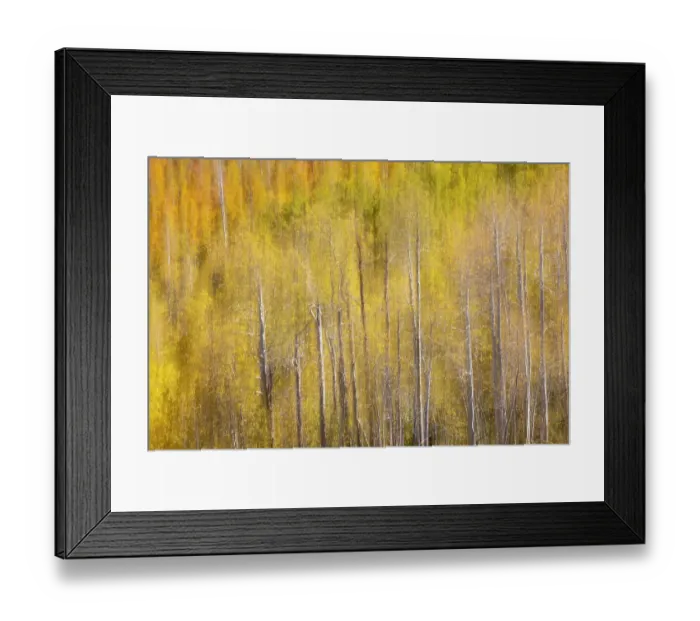 Framed Print : USA, Utah. Wasatch Mountains blur of Aspen in fall color along Highway 39