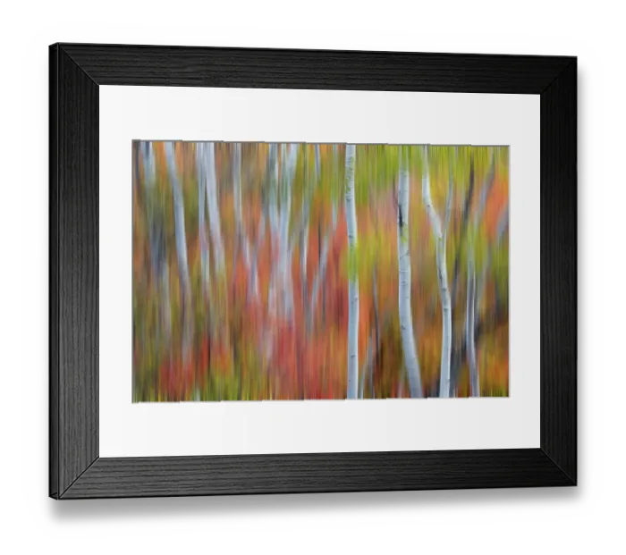Framed Print : USA, Utah, Garden City. Blur of Aspen and maple on hillsides just east of town Framed Print : USA, Utah, Garden City. Blur of Aspen and maple on hillsides just east of town