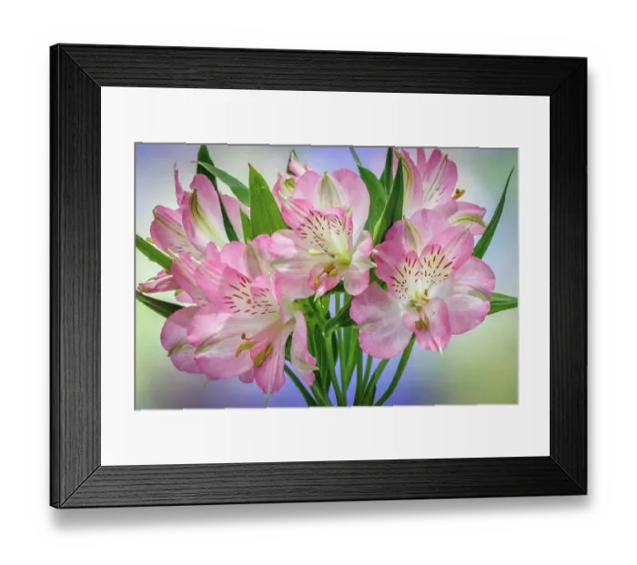 Framed Print : USA, Washington State, Seabeck. Bouquet of alstroemeria flowers