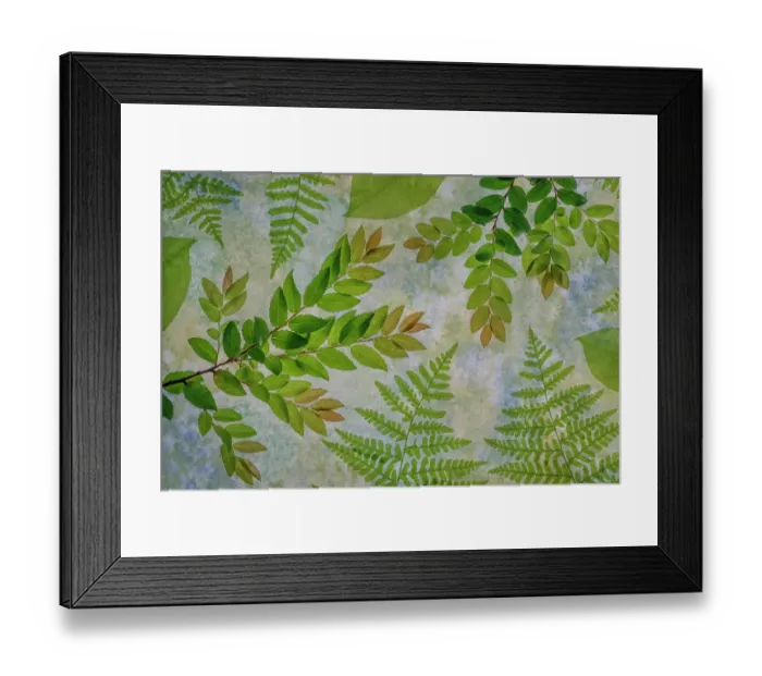 Framed Print : USA, Washington State, Seabeck. Montage of variety of leaves Framed Print : USA, Washington State, Seabeck. Montage of variety of leaves