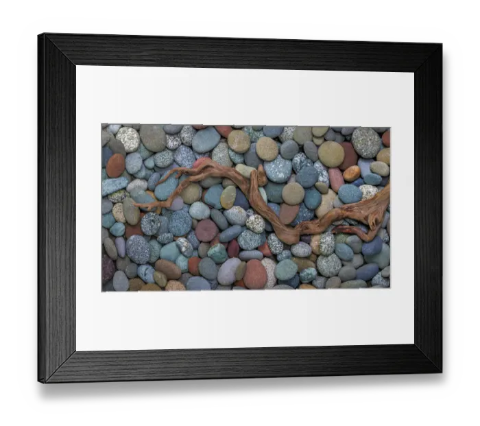 Framed Print : USA, Washington State, Seabeck. Panoramic of driftwood on beach rocks Framed Print : USA, Washington State, Seabeck. Panoramic of driftwood on beach rocks