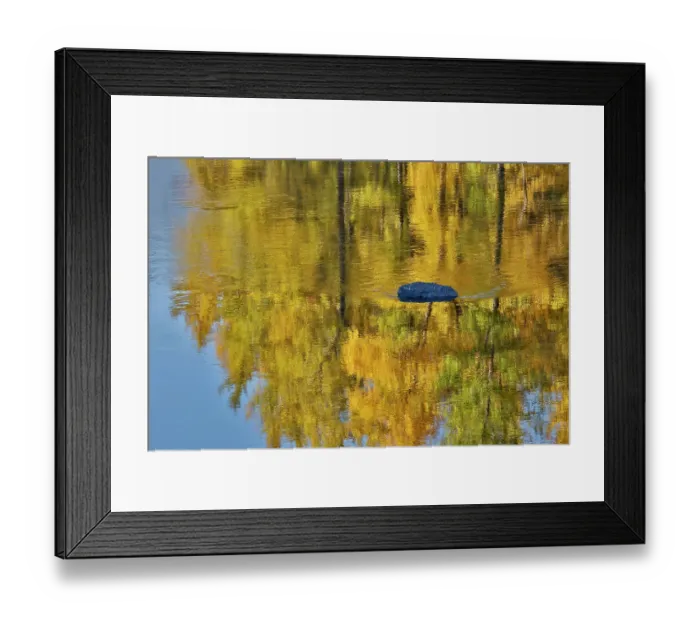 Framed Print : USA, Washington State. Autumn colors along the Methow River near Winthrop Framed Print : USA, Washington State. Autumn colors along the Methow River near Winthrop