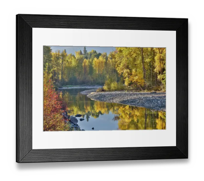 Framed Print : USA, Washington State. Autumn colors along the Methow River near Winthrop Framed Print : USA, Washington State. Autumn colors along the Methow River near Winthrop