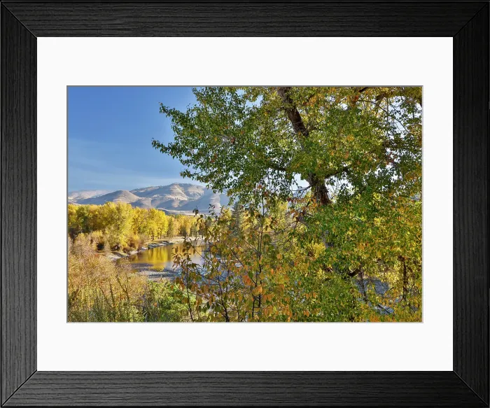 Framed Print : USA, Washington State. Autumn colors along the Methow River near Winthrop
