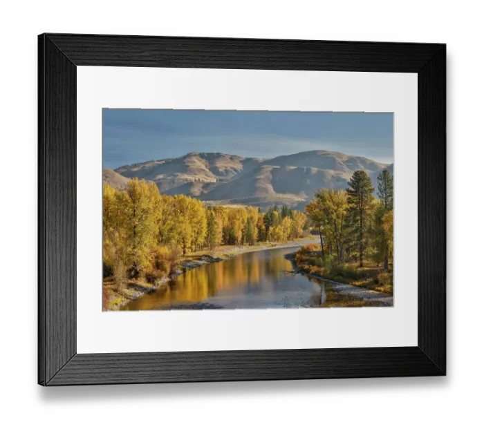 Framed Print : USA, Washington State. Autumn colors along the Methow River near Winthrop