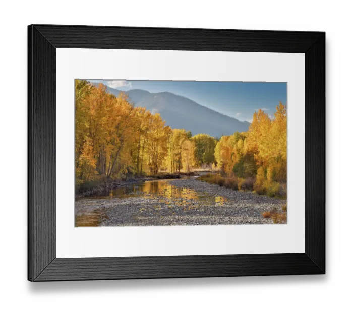 Framed Print : USA, Washington State. Autumn colors along the Methow River near Winthrop Framed Print : USA, Washington State. Autumn colors along the Methow River near Winthrop
