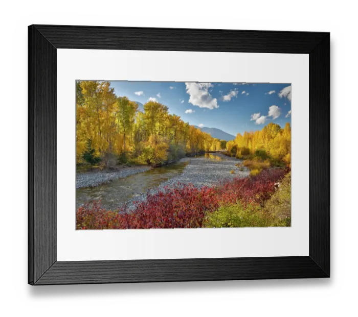 Framed Print : USA, Washington State. Autumn colors along the Methow River near Winthrop Framed Print : USA, Washington State. Autumn colors along the Methow River near Winthrop