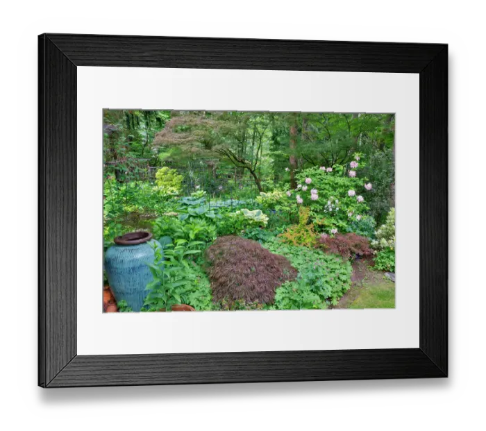 Framed Print : USA, Washington State, Sammamish. Garden