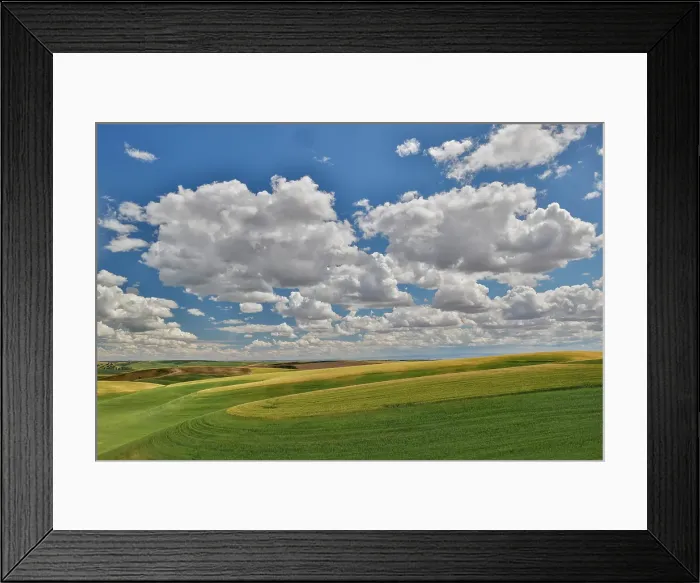 Framed Print : USA, Washington State, Palouse. Rolling hills with winter and spring wheat