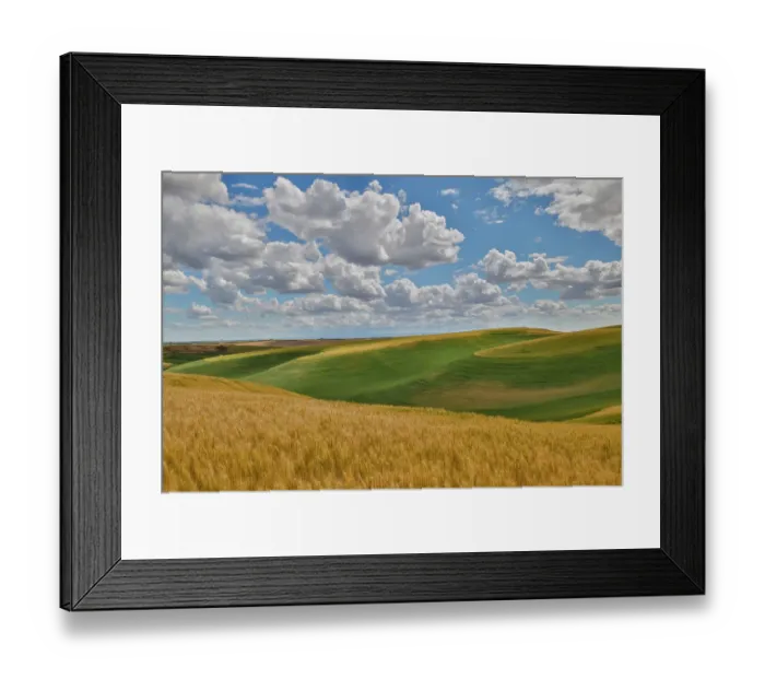 Framed Print : USA, Washington State, Palouse. Rolling hills with winter and spring wheat Framed Print : USA, Washington State, Palouse. Rolling hills with winter and spring wheat