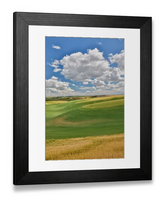 Framed Print : USA, Washington State, Palouse. Rolling hills with winter and spring wheat Framed Print : USA, Washington State, Palouse. Rolling hills with winter and spring wheat